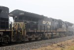 NS 3655